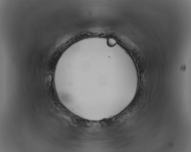 X0000092101302200710101113