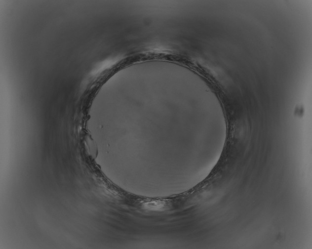 X0000092101303200710101113