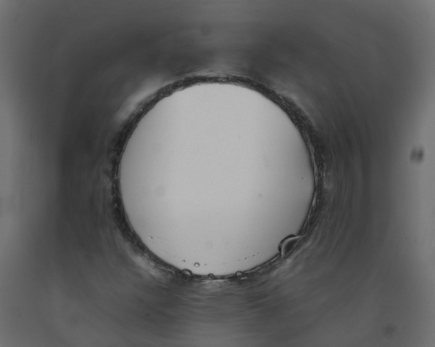 X0000092101304200710101113