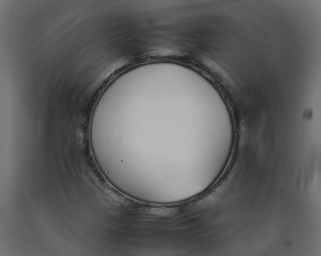 X0000092101305200710101113