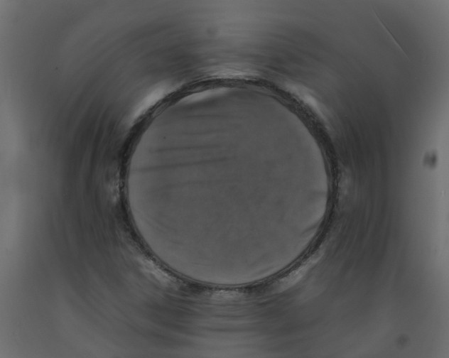 X0000092101306200710101113