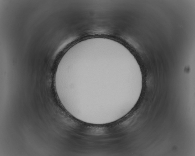 X0000092101309200710101113