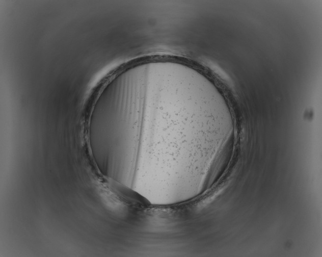 X0000092101310200710101113