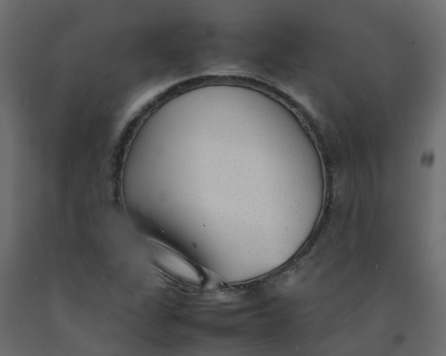 X0000092101311200710101113