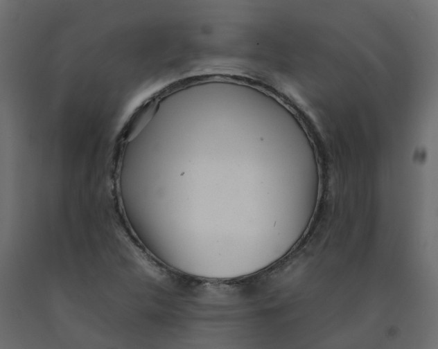 X0000092101312200710101113