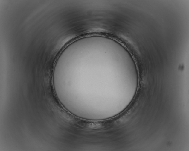 X0000092101313200710101113