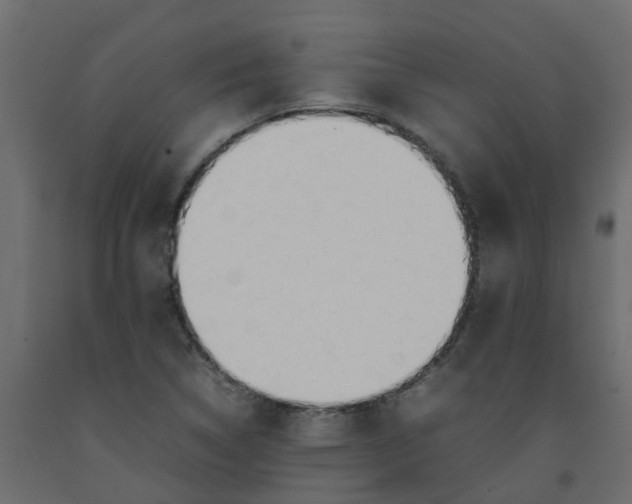 X0000092101314200710101113