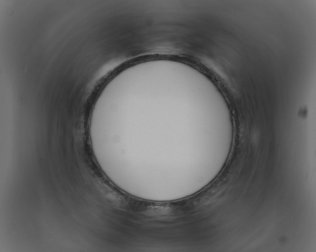 X0000092101315200710101113