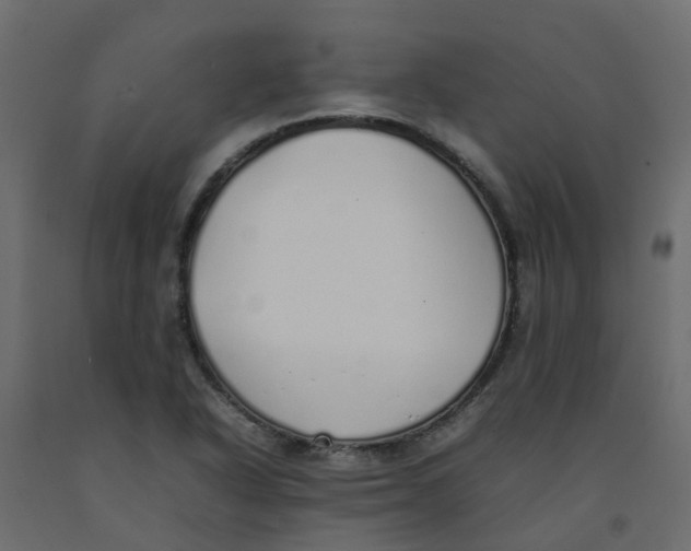 X0000092101318200710101113