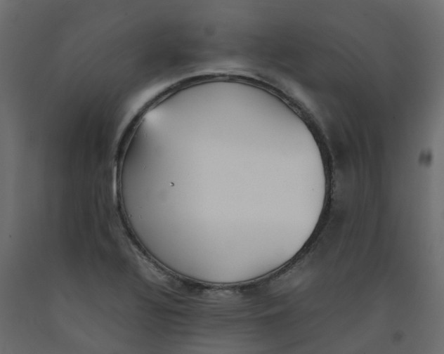 X0000092101320200710101113