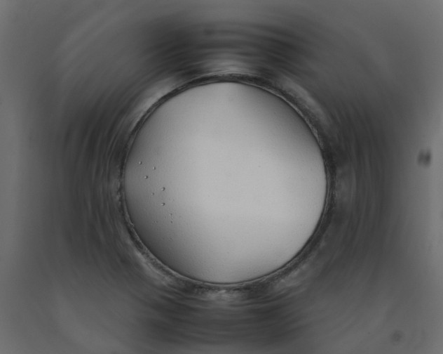 X0000092101321200710101113