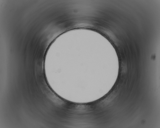 X0000092101322200710101113