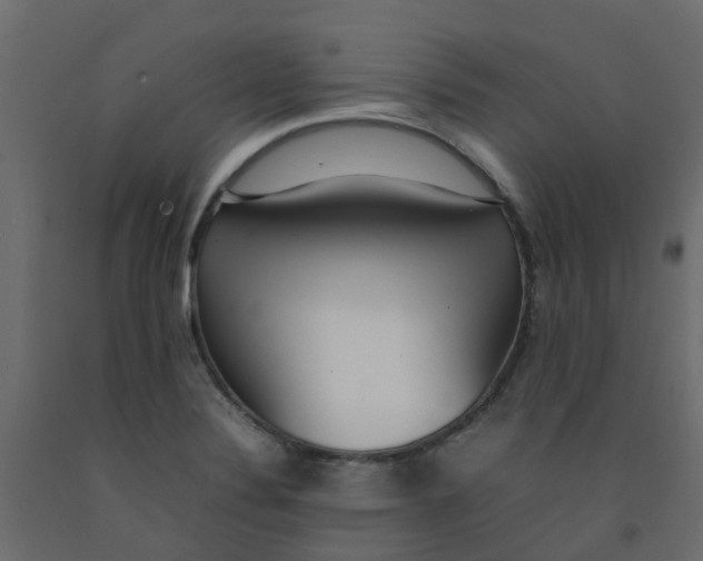 X0000092101324200710101113