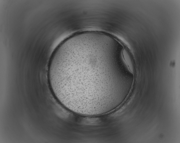 X0000092101325200710101113