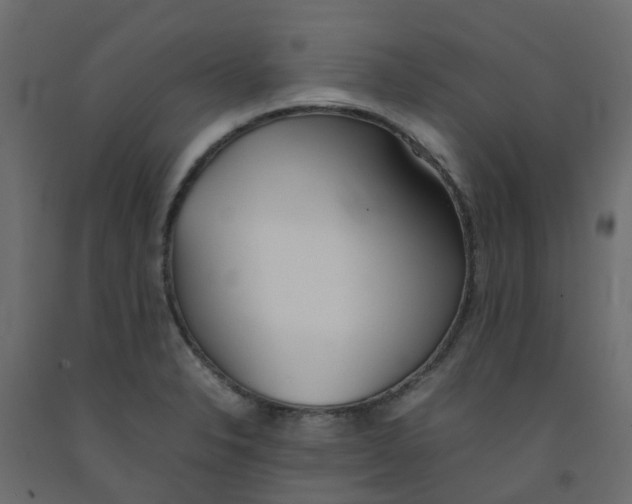 X0000092101326200710101113