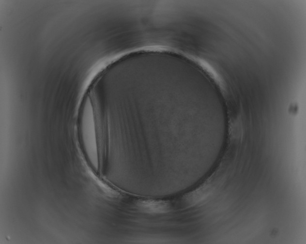 X0000092101327200710101113