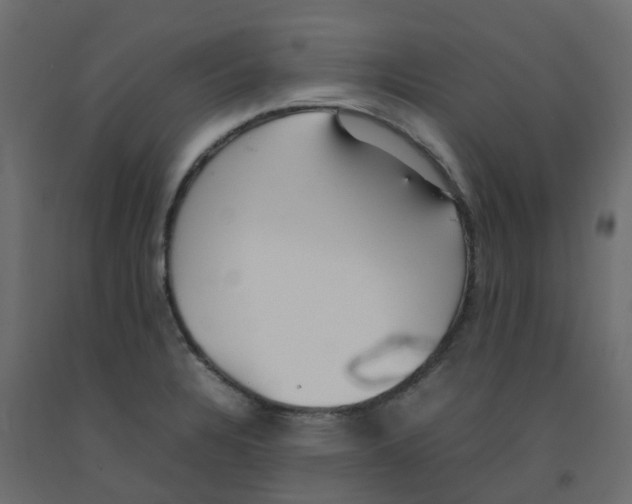 X0000092101328200710101113