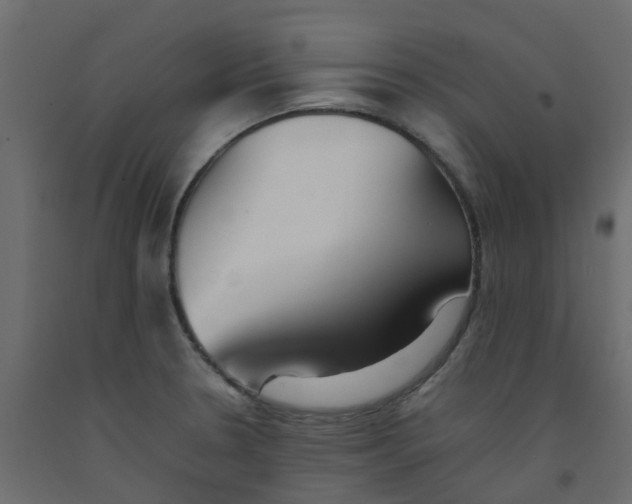 X0000092101330200710101114