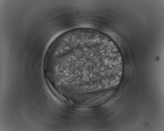 X0000092101331200710101114