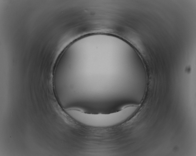 X0000092101332200710101114