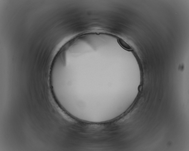 X0000092101333200710101114