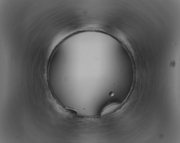 X0000092101336200710101114