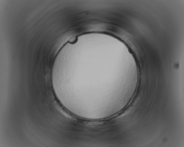 X0000092101337200710101114