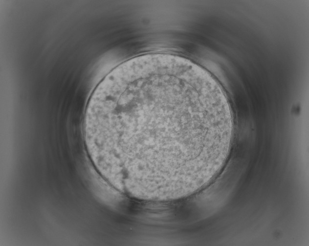 X0000092101338200710101114