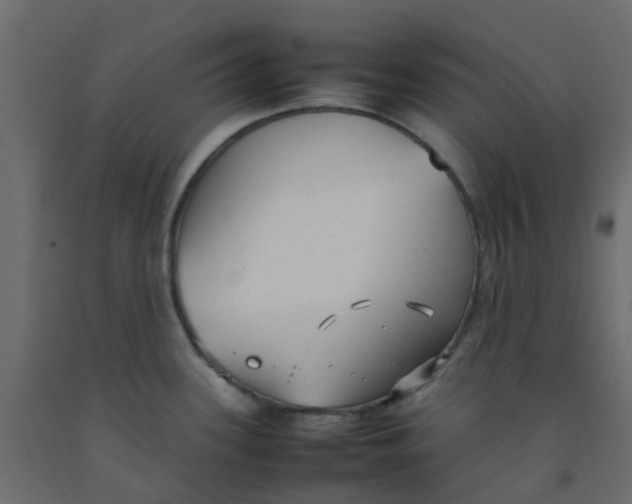 X0000092101339200710101114