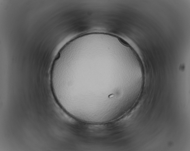 X0000092101341200710101114