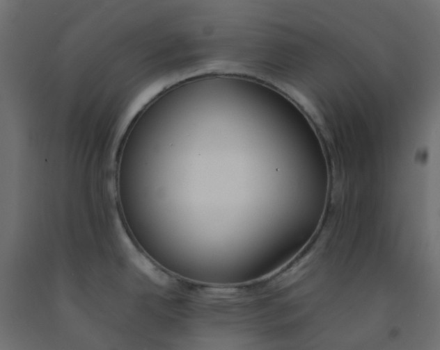 X0000092101342200710101114