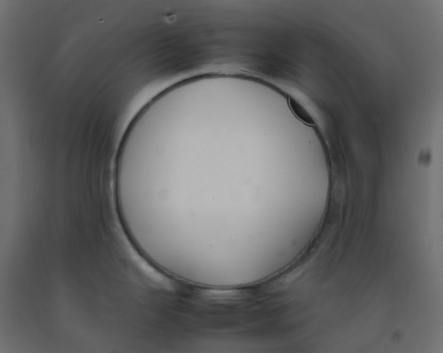 X0000092101343200710101114