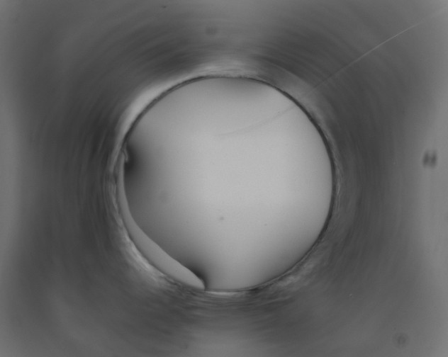 X0000092101344200710101114