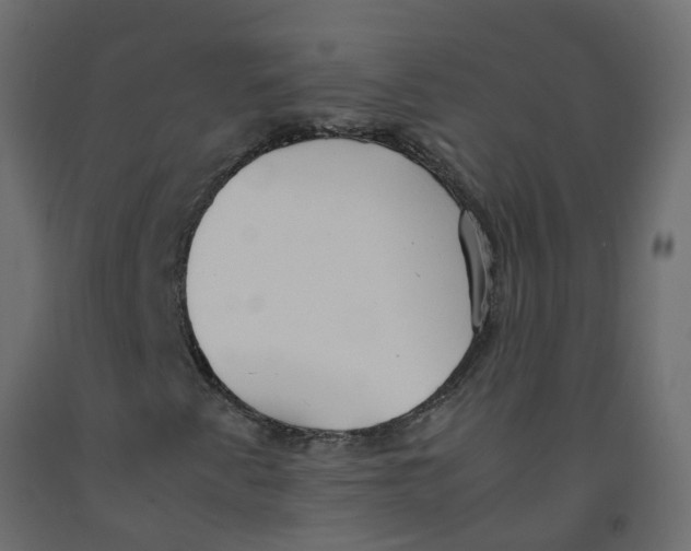 X0000092101345200710101113