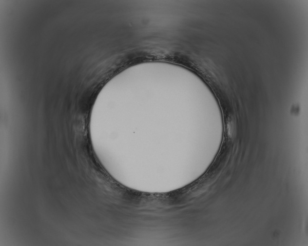 X0000092101347200710101113