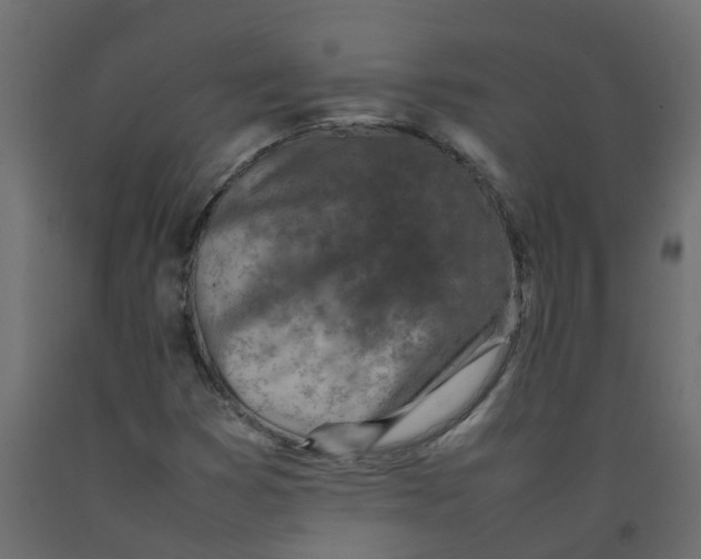 X0000092101353200710101113