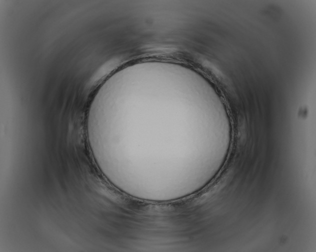 X0000092101354200710101113