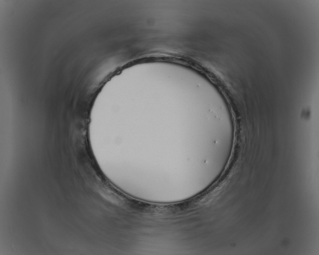 X0000092101355200710101113