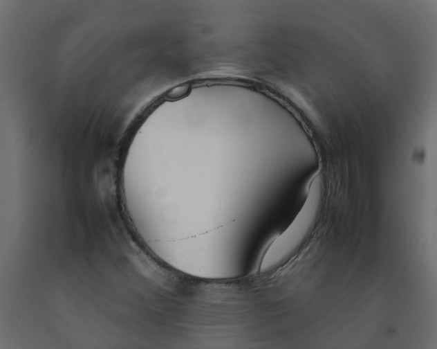 X0000092101356200710101113