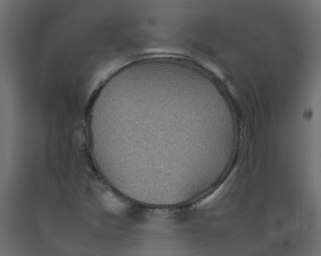 X0000092101357200710101113