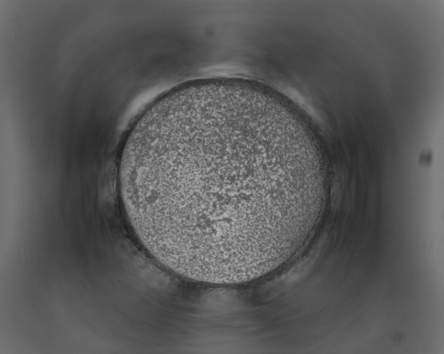 X0000092101358200710101113