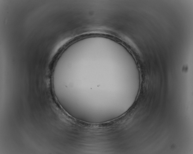 X0000092101360200710101113