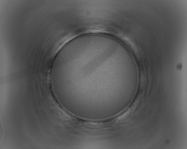 X0000092101361200710101113