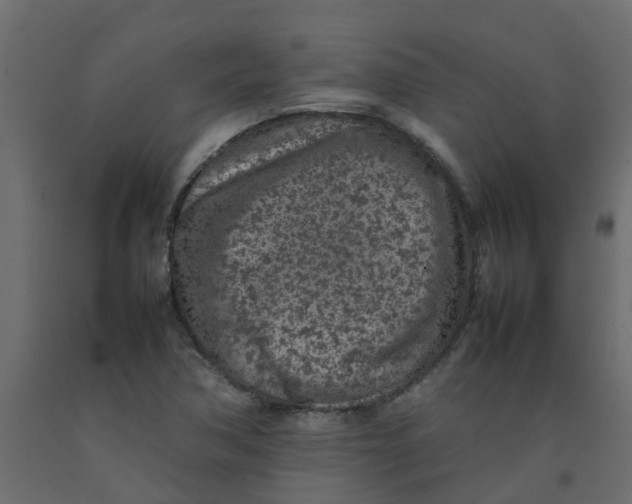 X0000092101362200710101113