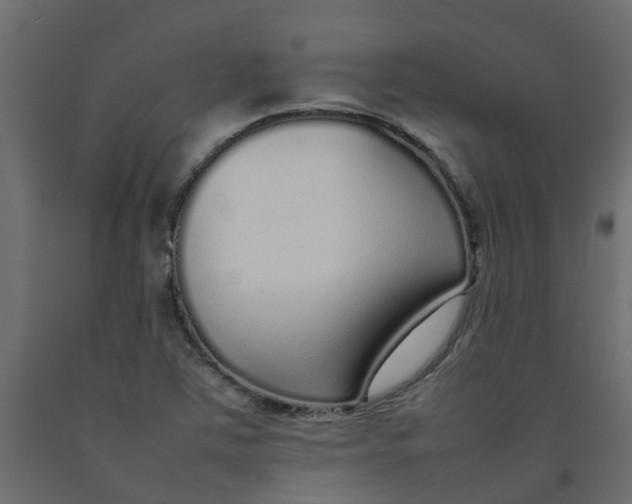 X0000092101363200710101113