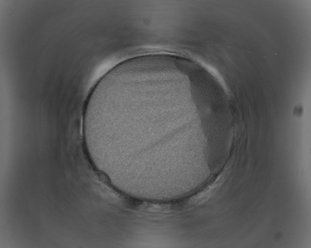 X0000092101365200710101113