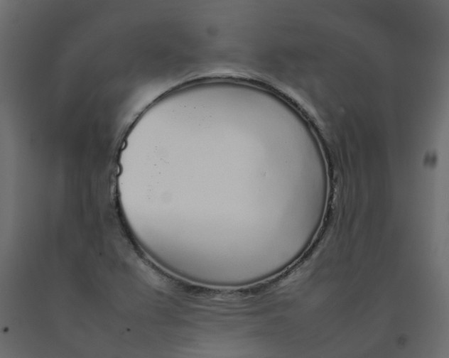 X0000092101367200710101113