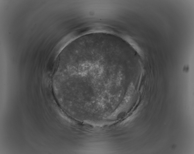 X0000092101369200710101113