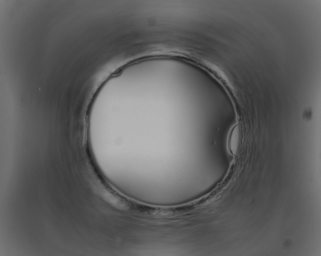 X0000092101371200710101113