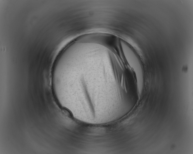 X0000092101372200710101113